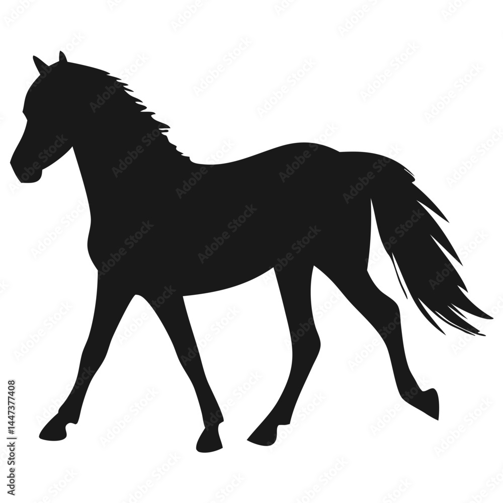 Obraz premium Horse Silhouette