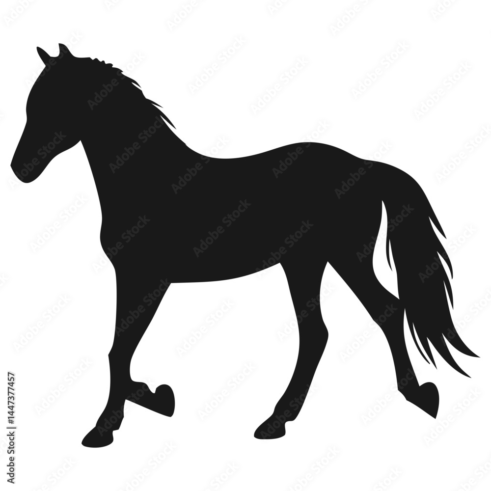 Obraz premium Horse Silhouette