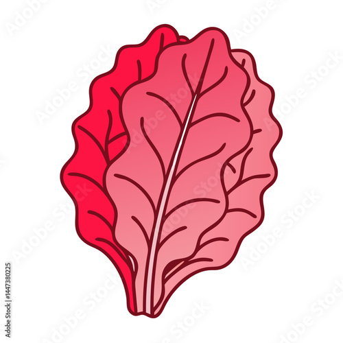 Illustration of red leafy vegetable chard swiss chard beet greens vector graphic design element art