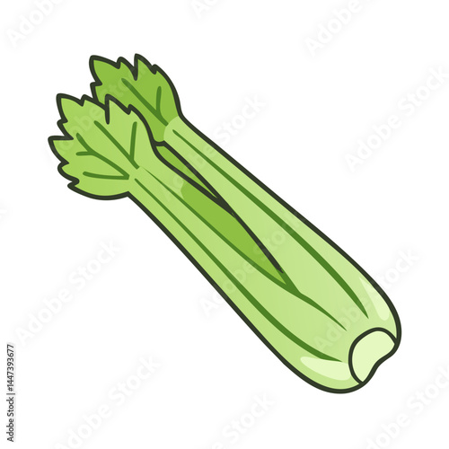 Illustration of fresh green celery vegetable healthy food raw ingredient culinary herb stalk diet