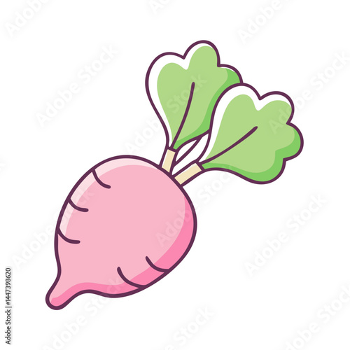 Illustration of fresh radish vegetable root with green leaves healthy food ingredient for cooking