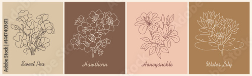 Botanical wall art, poster set with line art of spring and summer birth month flowers, Sweet Pea, Hawthorn, Honeysuckle, Water Lily on terracotta, beige backgrounds. Hand drawn vector illustrations