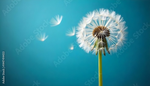 Wallpaper Mural dandelion on a blue background Torontodigital.ca