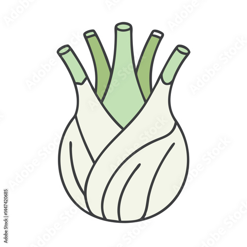 Illustration of fresh fennel bulb vegetable anise flavor ingredient healthy eating plant food