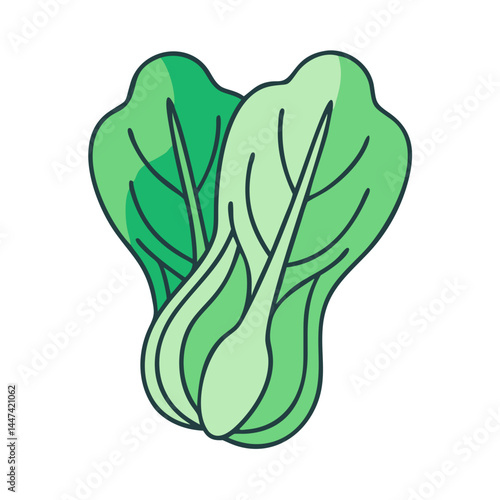 Illustration of fresh bok choy vegetable chinese cabbage healthy food ingredient vector graphic design