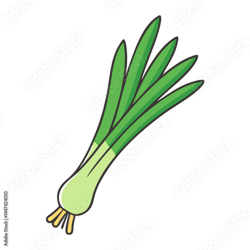 Fresh green onion scallion vegetable healthy food cooking ingredient aromatic herb spring onion bunch