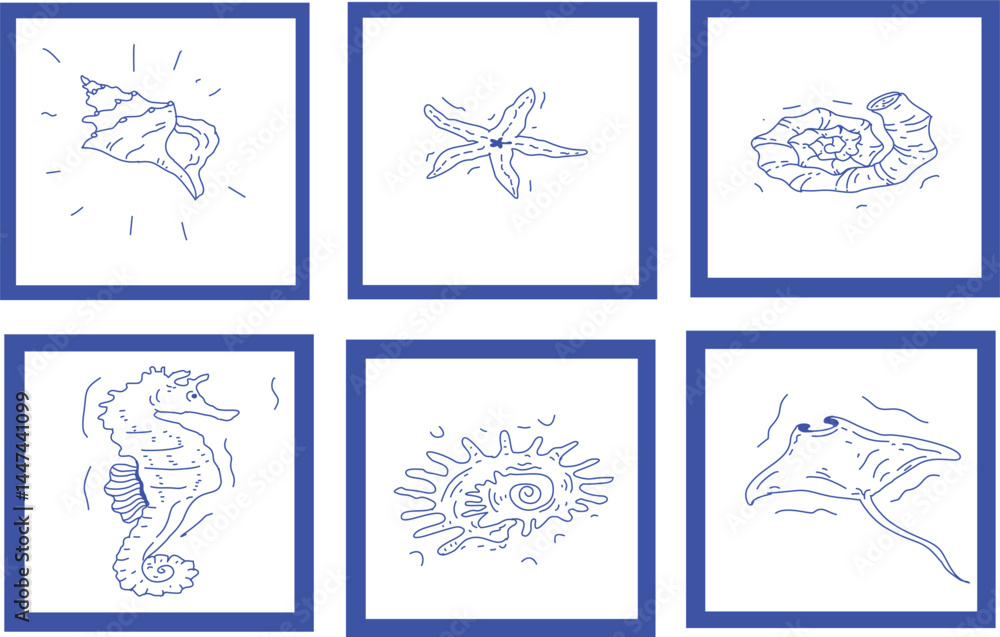 Set of Six Simple Blue Line Art Illustrations of Various Sea Creatures and Shells in Frames on a White Background Set of Six Simple Blue Line Art Illustrations of Various Sea Creatures and Shells in Frames on a White Background
