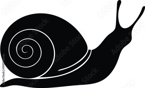 snail silhouette vector