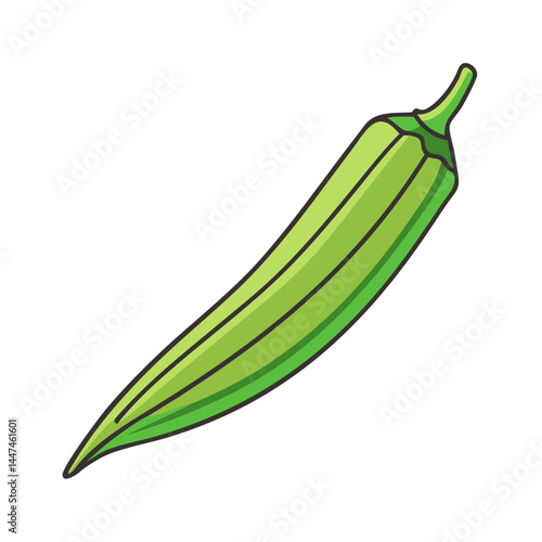 Illustration of fresh green okra vegetable vector graphic okra healthy food okra plant okra pod okra