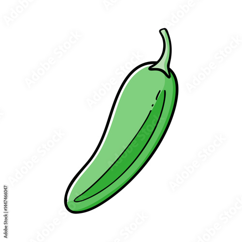 Illustration of green jalapeño pepper vegetable ingredient spicy food cooking recipe plant garden