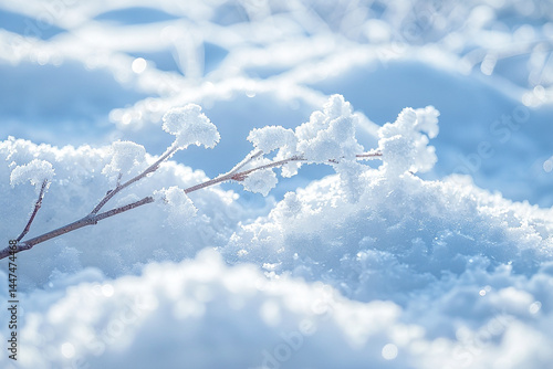 Experience enchanting beauty of charming pristine winter wonderland, where every surface is magically blanketed in snow, creating charming truly magical and captivating landscape for all to enjoy     photo