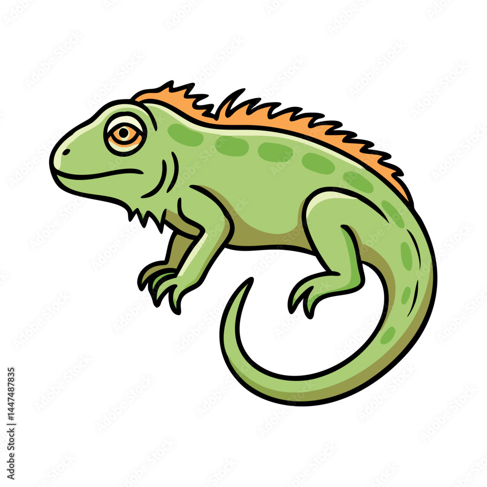 Illustration of a green iguana reptile with orange spikes and a curled tail cartoon drawing art Illustration of a green iguana reptile with orange spikes and a curled tail cartoon drawing art