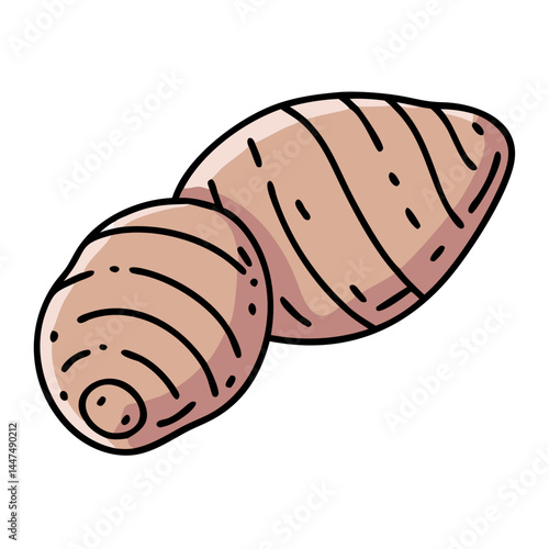 Illustration of taro root vegetable food healthy diet nutrition organic agriculture farming produce ingredient