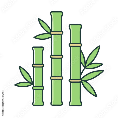 Bamboo stalk vector illustration, green bamboo plant drawing, asian bamboo forest design element