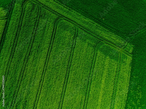 green farmland from a drone, green meadow from a bird's eye view, green meadow photo, green grass from above, green lawn from a bird's eye view