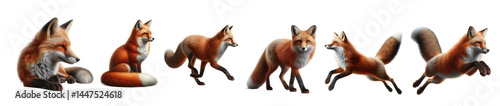 Wallpaper Mural Playful fox pack in dynamic poses Torontodigital.ca