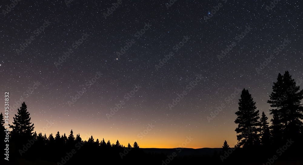 Fototapeta premium Starry Night Sky over Forest