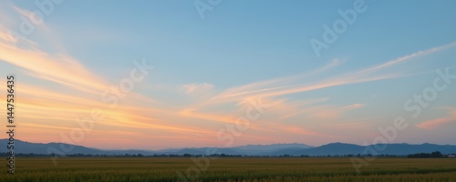 Golden Field at Sunset with Mountain Backdrop
