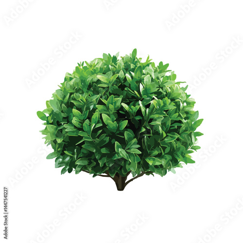 Vector watercolor green tree or forest side view isolated on white background for landscape and architecture drawing,elements for environment or and garden,Shrub for section