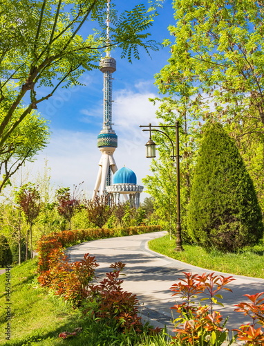 Parks of Tashkent. Spring landscape of a public park. Uzbekistan.