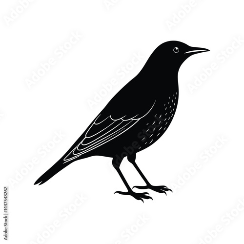 European starling bird silhouette art illustration