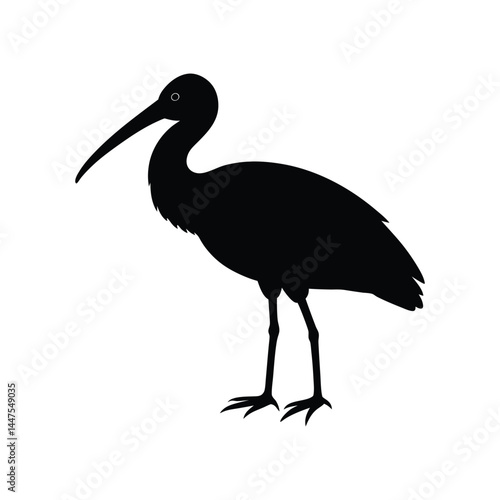 roseate spoonbill bird silhouette art illustration