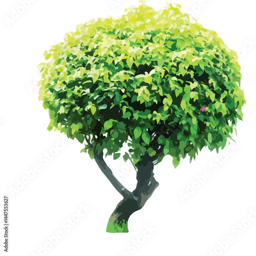 Vector watercolor green tree or forest side view isolated on white background for landscape and architecture drawing,elements for environment or and garden,Shrub for section