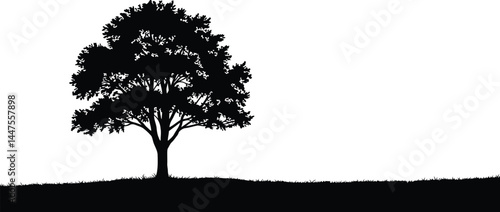 Lone Tree Silhouette on Hill