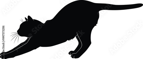 Minimalist Black and White Cat Silhouette Stretching