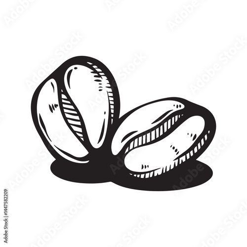 Single coffee beans minimalist illustration, black and white line art