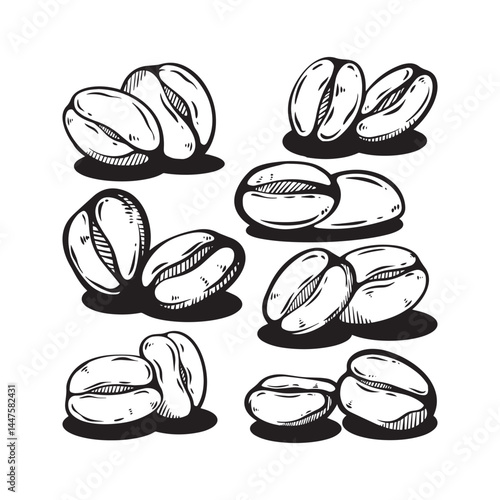 Single coffee beans minimalist illustration, black and white line art