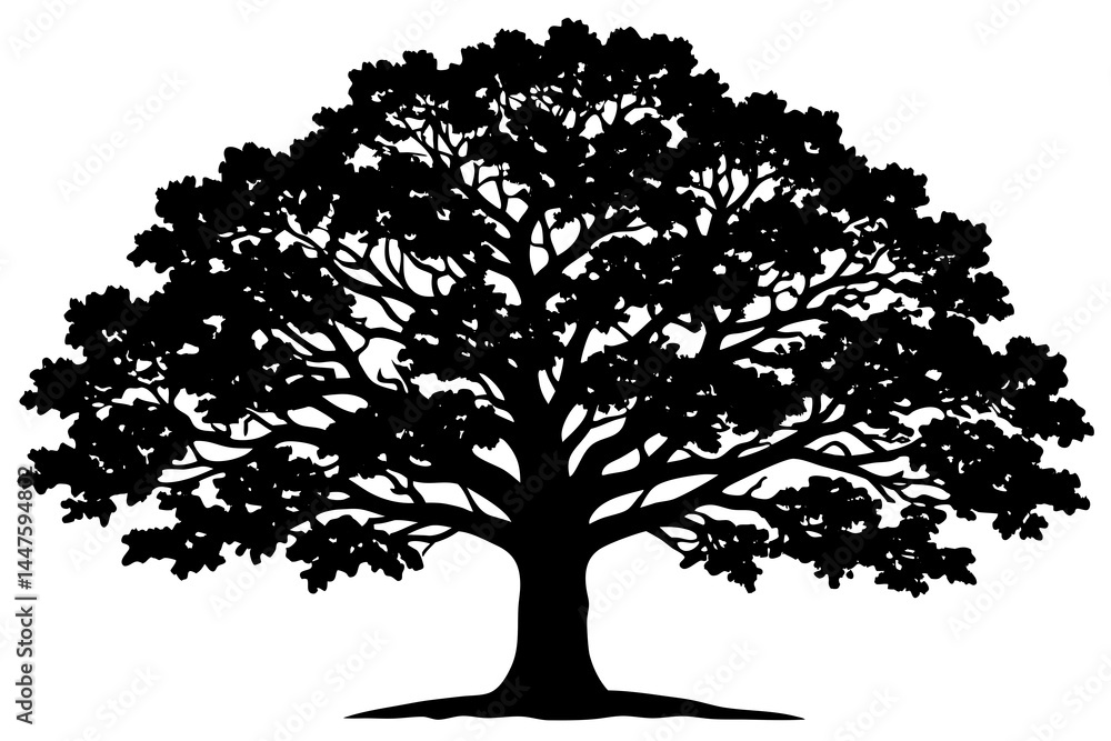 Fototapeta premium Classic Black Oak Tree Vector