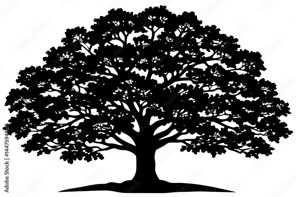 Obraz premium Classic Black Oak Tree Vector