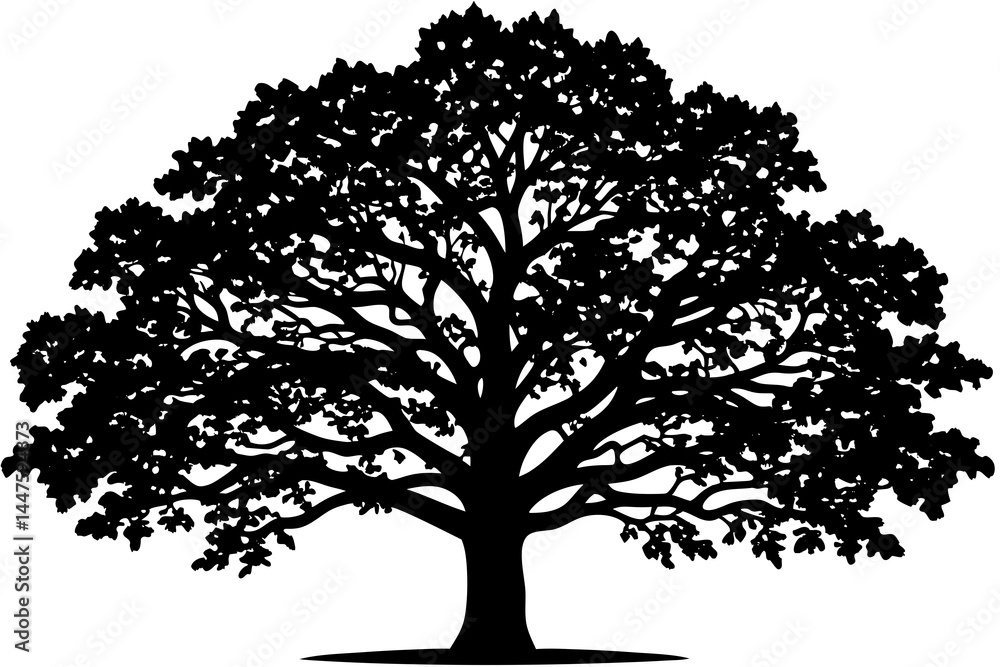 Obraz premium Classic Black Oak Tree Vector