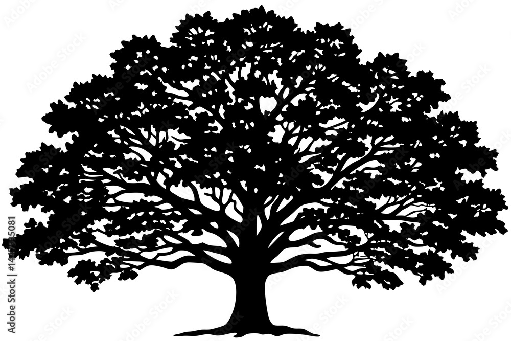 Obraz premium Classic Black Oak Tree Vector