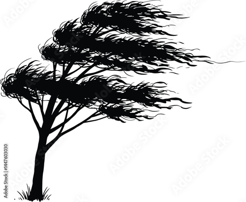 Windswept Tree Silhouette