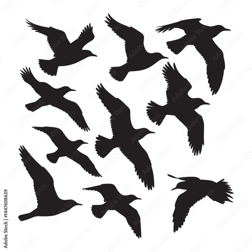 Fototapeta premium Flying birds silhouettes on white background. Vector illustration, 
