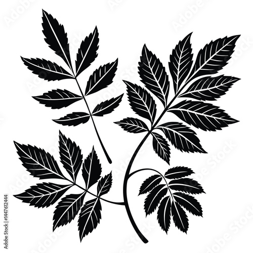 set of leaves