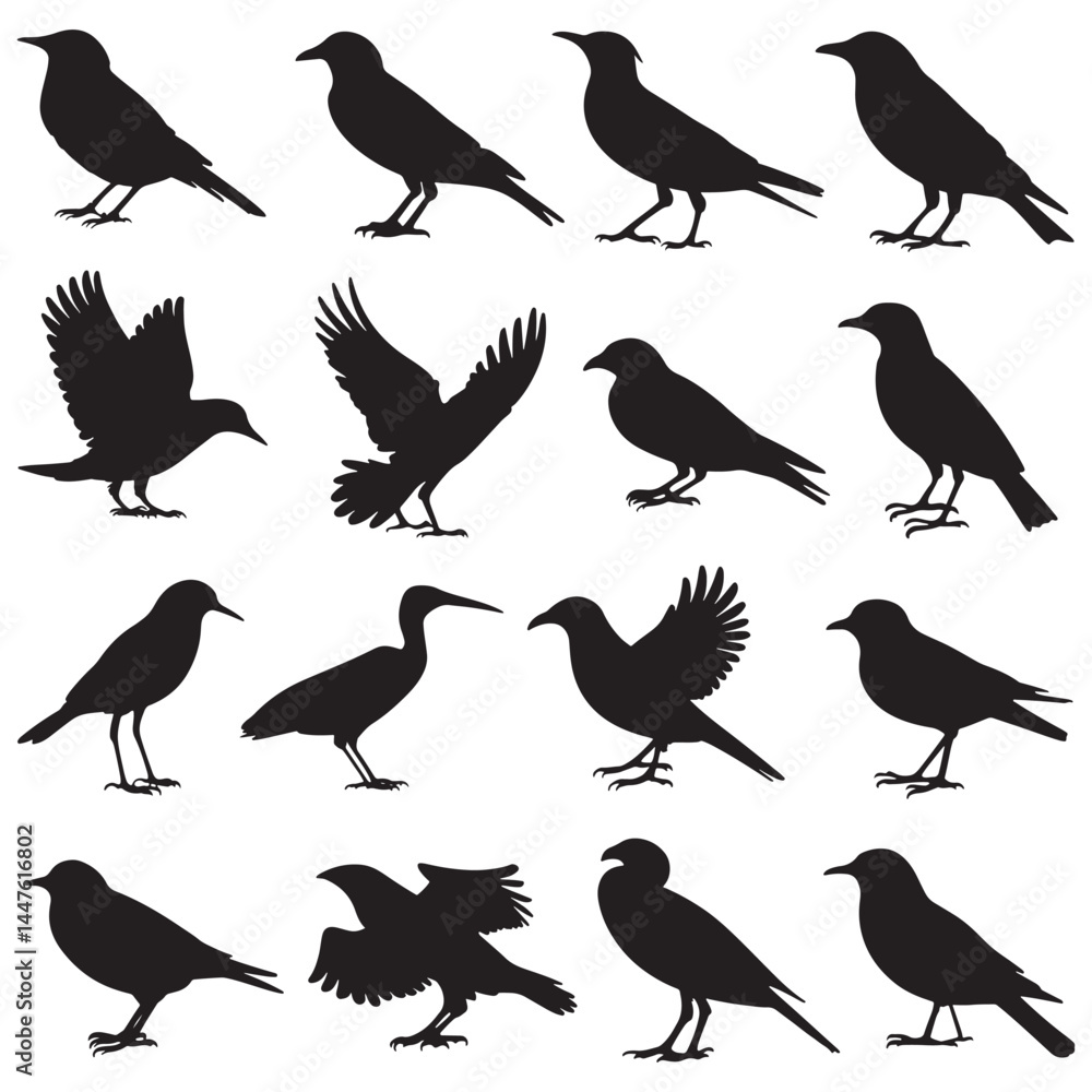 Flying birds silhouettes on white background. Vector illustration, Flying birds silhouettes on white background. Vector illustration,