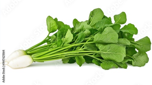 Fresh White Radishes with Lush Green Tops, Isolated on White Background