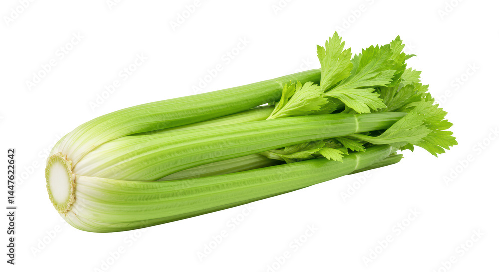 Isolated Fresh celery stalk Isolated Fresh celery stalk