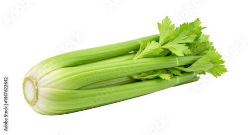 Isolated Fresh celery stalk
