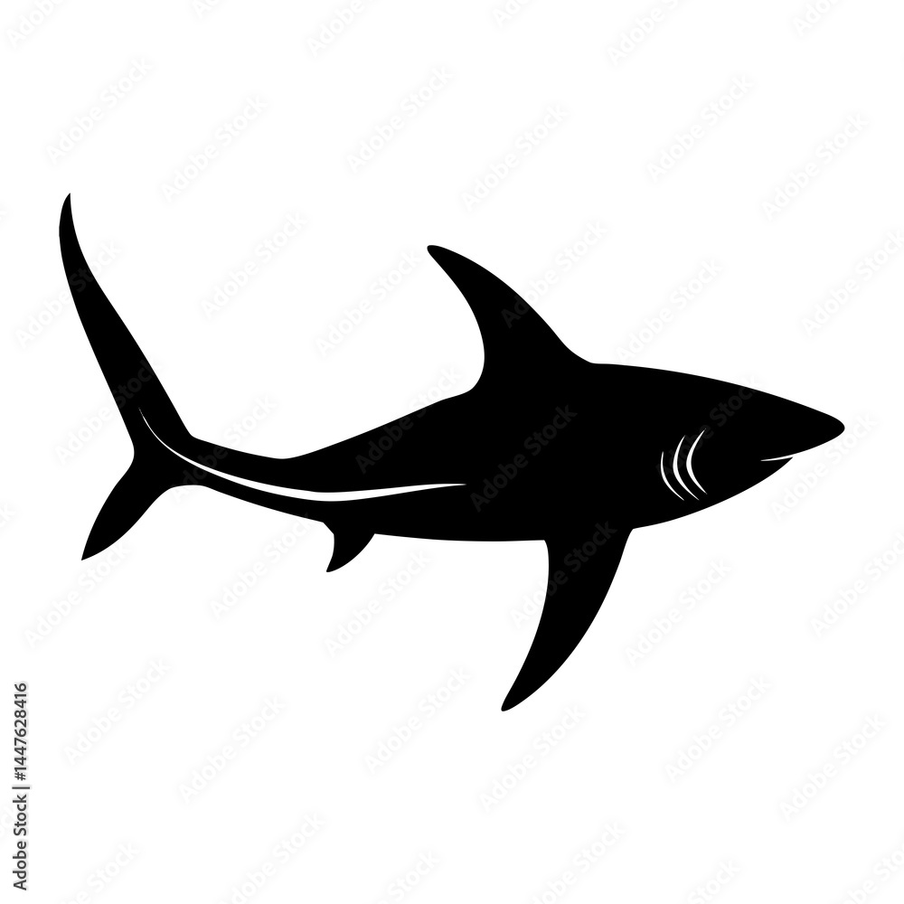 Thresher Shark Silhouette with Long Tail Graphic Thresher Shark Silhouette with Long Tail Graphic