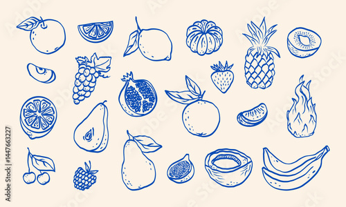 Minimalist hand drawn sketch fruits vector illustration. Natural tropical fruits. Dragon fruit, pineapple, coconut, citrus, banana, fig, apple, grape, lemon, banana, pomegranate, fig, strawberry.