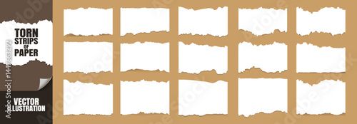 Realistic Torn Paper Strips Set. Ripped Edge Horizontal Pieces Collection for Scrapbooking, Notes, Banners and Design Elements
