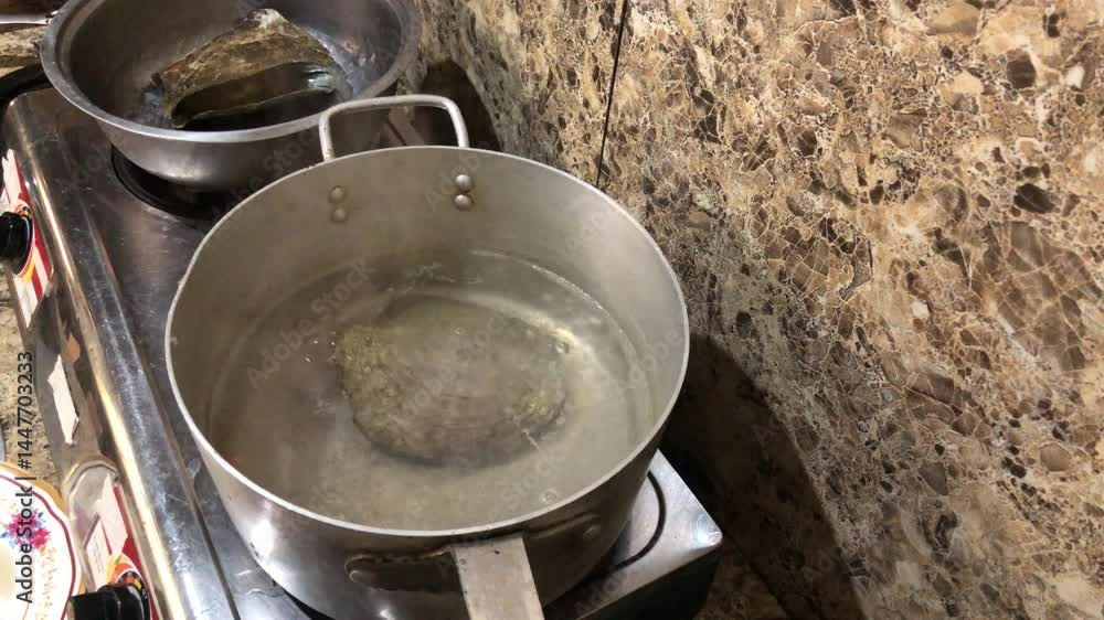 Placuna saddle oysters, also known as windowpane or capiz oysters, are soaked in hot boiling water so that the meat falls out on its own Placuna saddle oysters, also known as windowpane or capiz oysters, are soaked in hot boiling water so that the meat falls out on its own