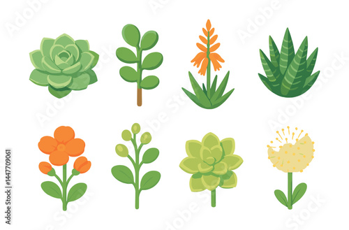 Succulent icons set – cactus, aloe, crassula, echeveria, haworthia, isometric designs