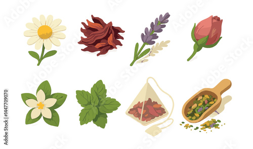 Floral tea elements icons set – chamomile, hibiscus, lavender, rose, jasmine, mint, tea bag, herbs