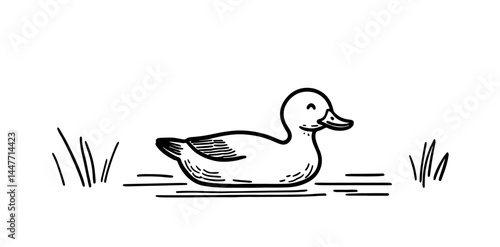 Charming vector illustration of a duck swimming in a pond, perfect for nature-themed projects. Simple black and white line art for easy integration into designs and educational materials.
