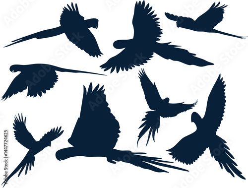 Flying parrot silhouette vector set – elegant parrot, parakeet design perfect for bird, nature, tropical, and wildlife themes. 